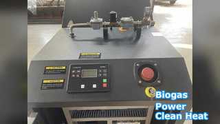 Biogas CHP 200KVA Clean Energy Power Heat