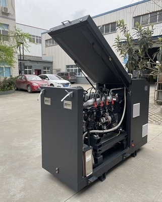 High Efficiency CE Approved Micro Biogas CHP Mini Cogenerator Set Unit System 16kw 20kva