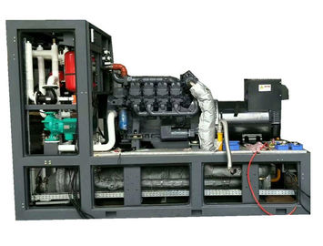 Good price 280KVA 220KW Biogas Electric Generator Stable Performance Easy Maintenance online